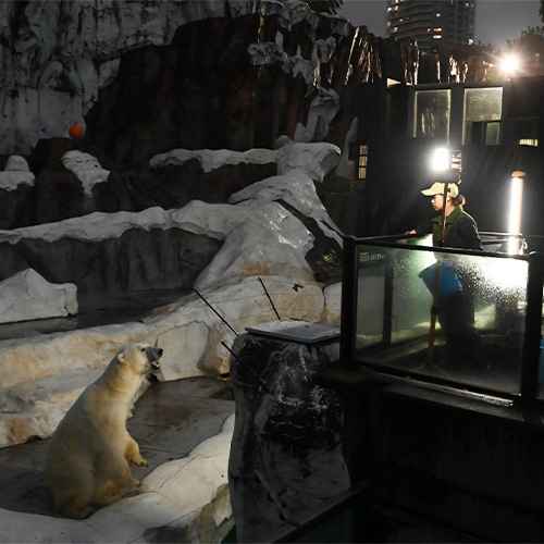 El zoológico en una noche de otoño
