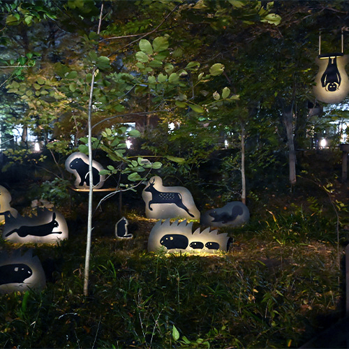 Largas noches de otoño en el Jardín Natural y Cultural