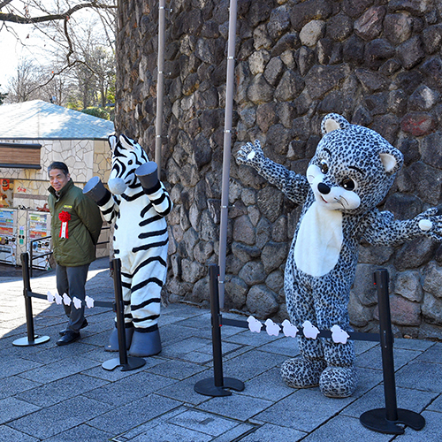 Parque Zoológico de Tama Año Nuevo 2026