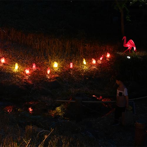夜の上野動物園で、赤や黄色の明かりが草地や水面を彩っている。