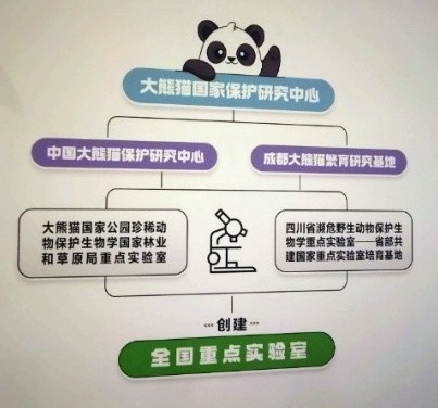 中国のジャイアントパンダ国家保護研究センター