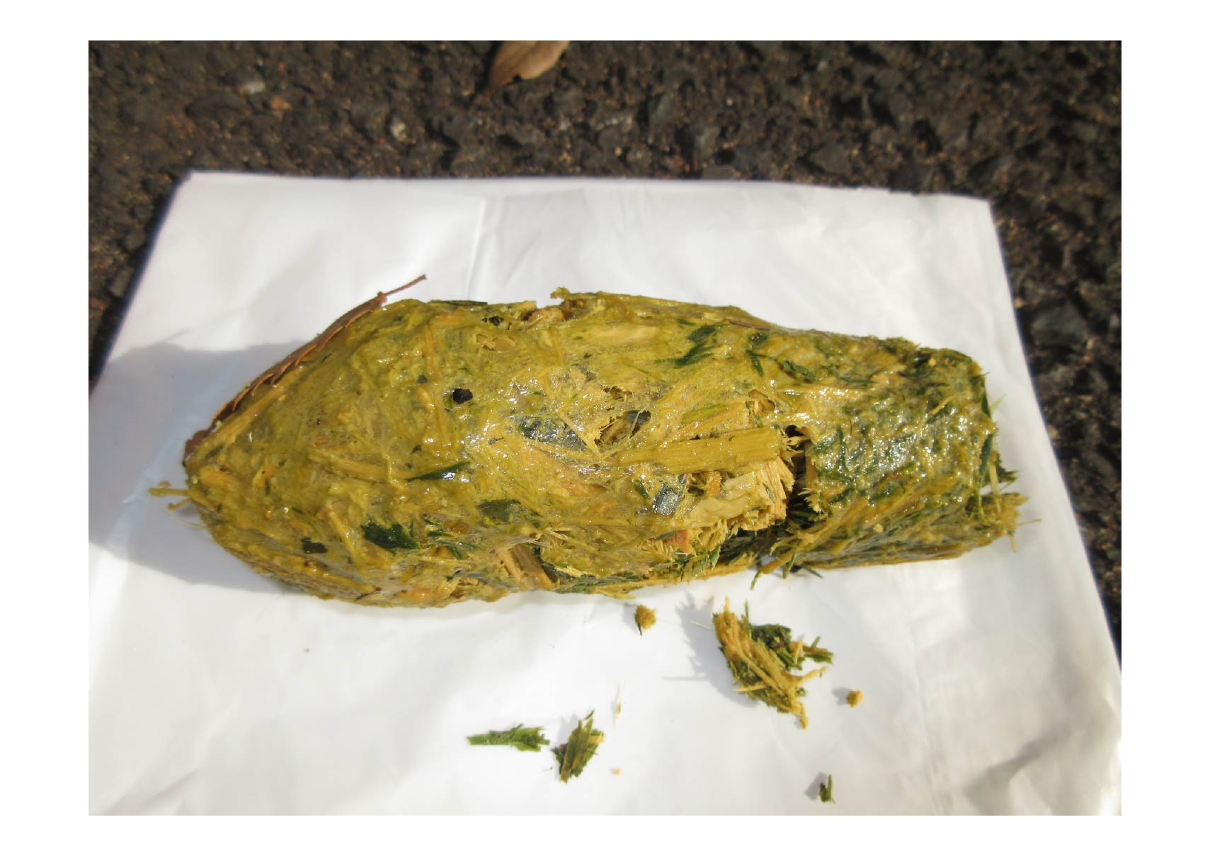 パンダの糞（茎）