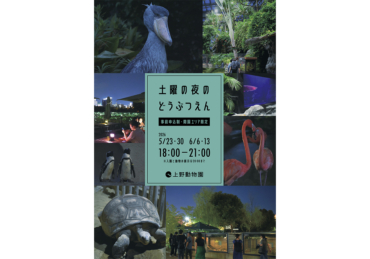 「土曜の夜のどうぶつえん」を紹介する告知デザイン。薄暗い中の動物たちの写真とイベントタイトルが配置されている。