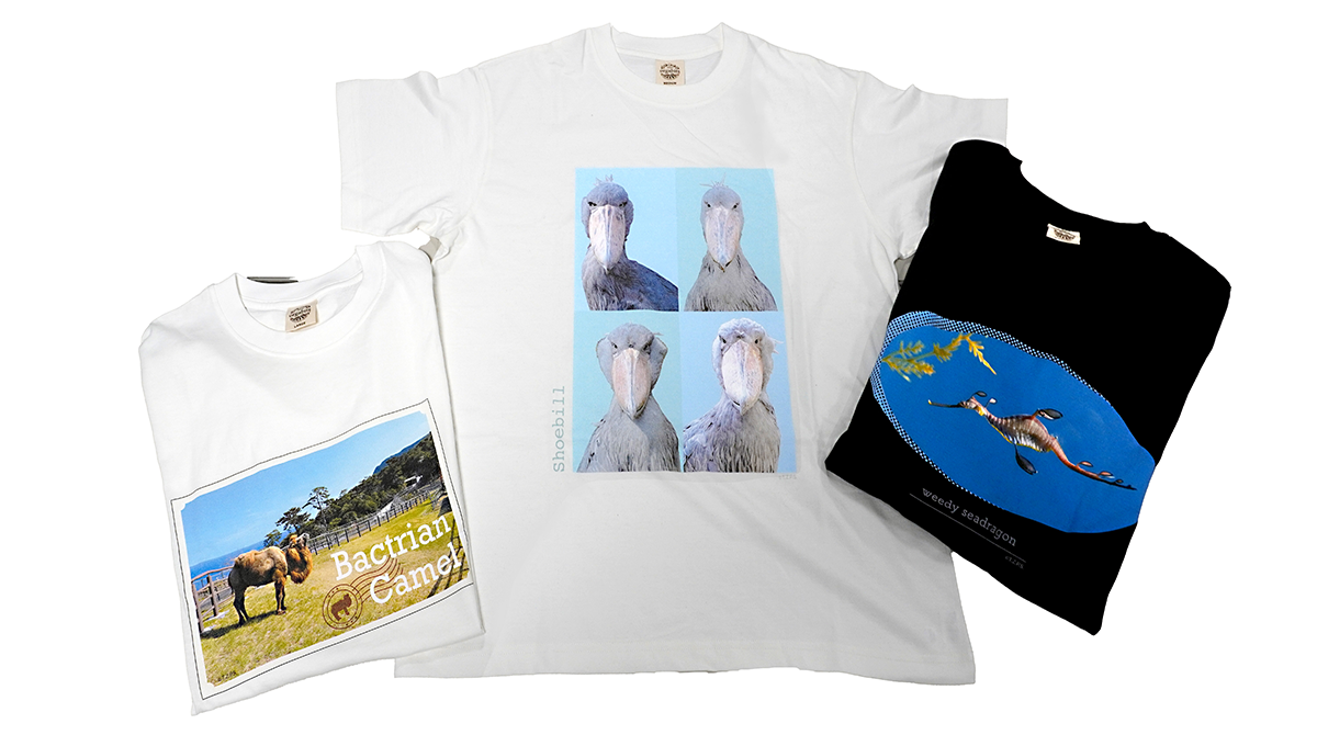 Tシャツ3点を並べた画像