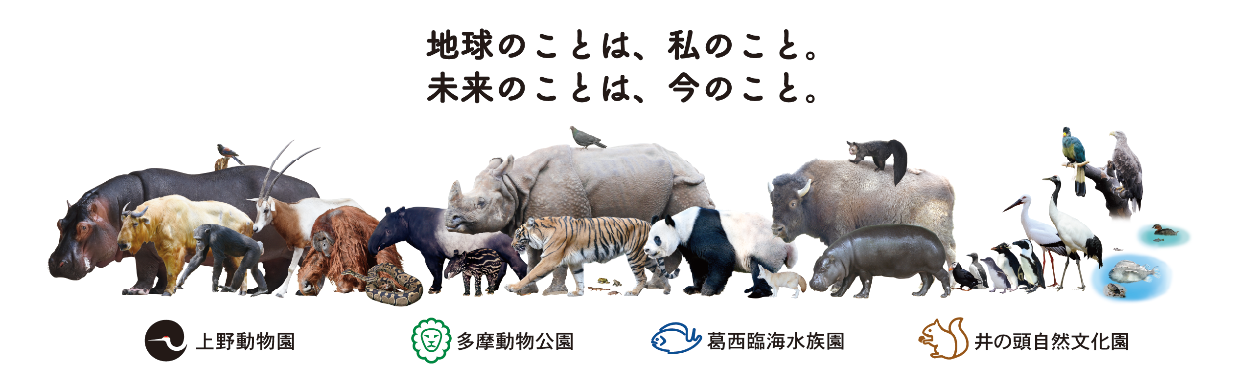 地球環境保全行動戦略