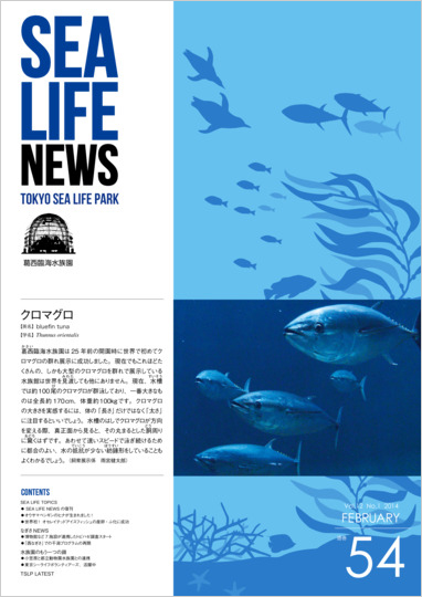 通巻54表紙
