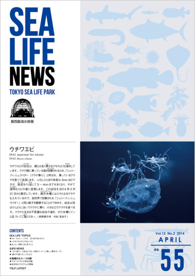 通巻55表紙