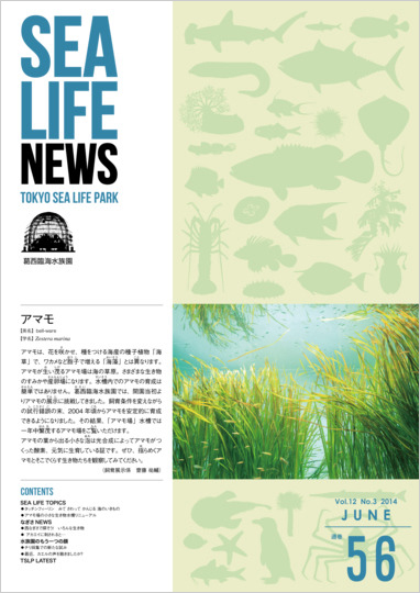 通巻56表紙