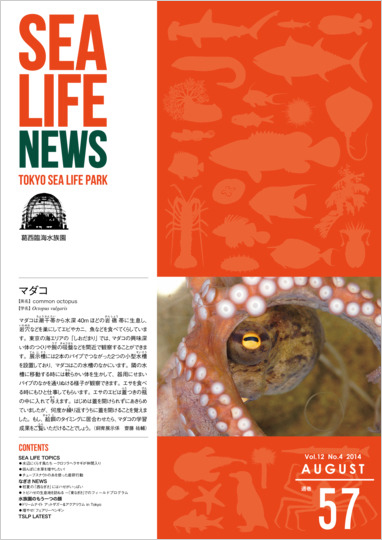 通巻57表紙