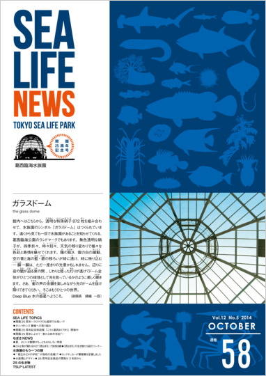 通巻58表紙