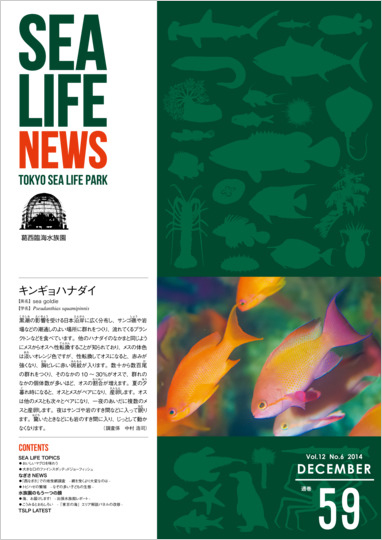 通巻59表紙