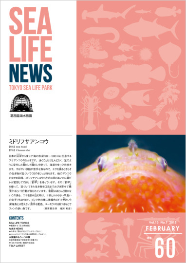 通巻60表紙