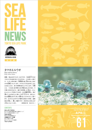 通巻61表紙