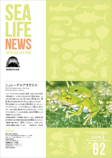 通巻62表紙
