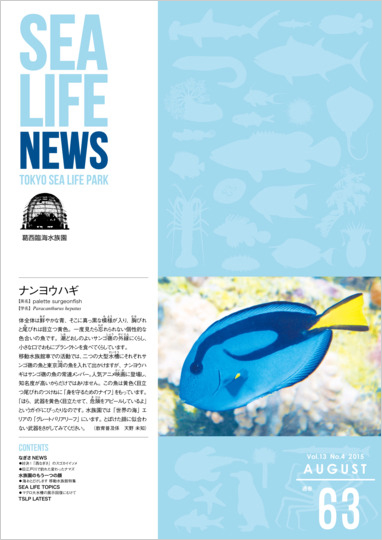 通巻63表紙