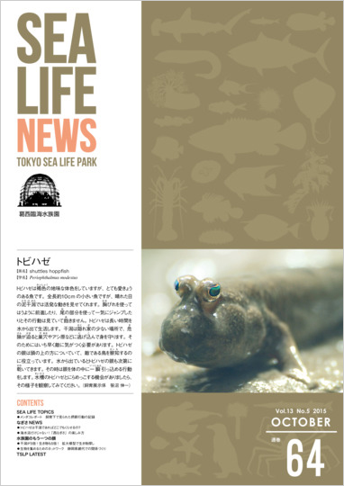 通巻64表紙