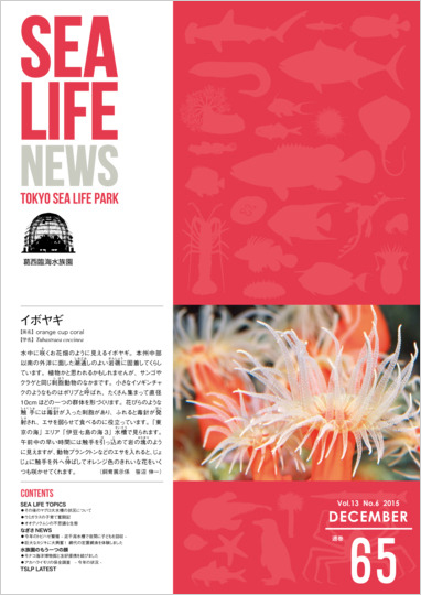 通巻65表紙