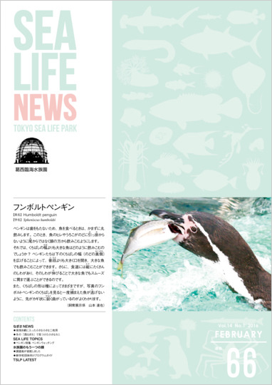 通巻66表紙