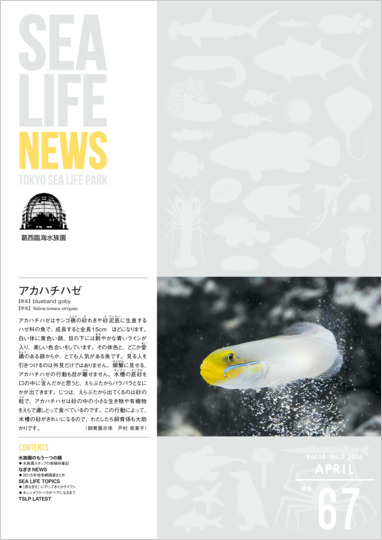 通巻67表紙