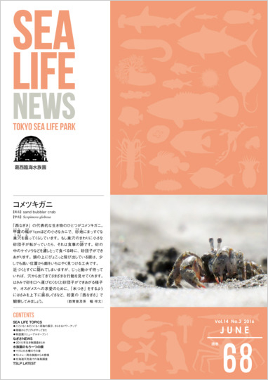 通巻68表紙