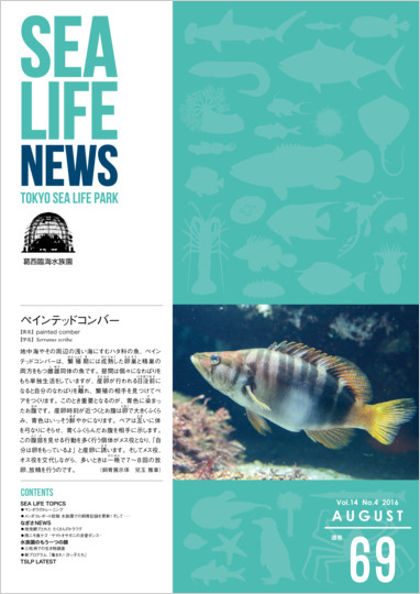 通巻69表紙