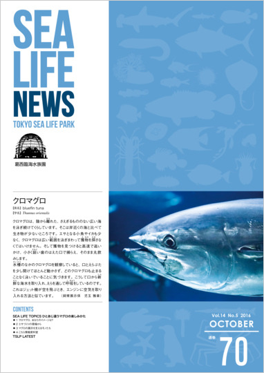 通巻70表紙