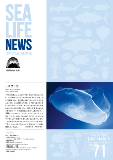 通巻71表紙