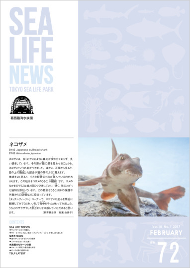通巻72表紙