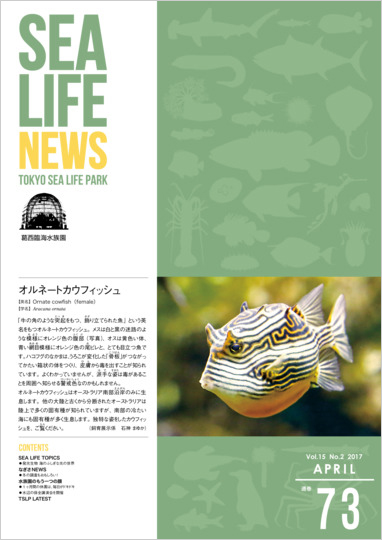 通巻73表紙