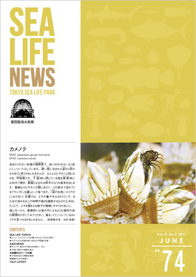 通巻74表紙