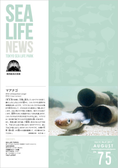 通巻75表紙
