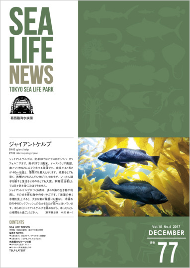 通巻77表紙