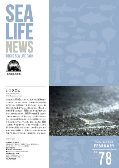 通巻78表紙