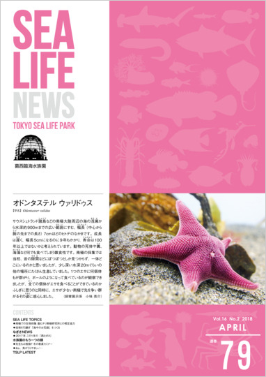 通巻79表紙