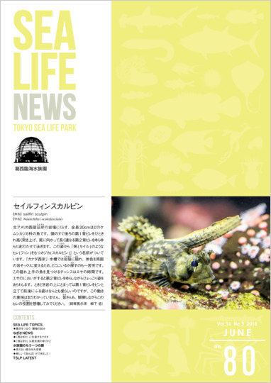 通巻80表紙