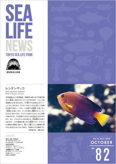 通巻82表紙
