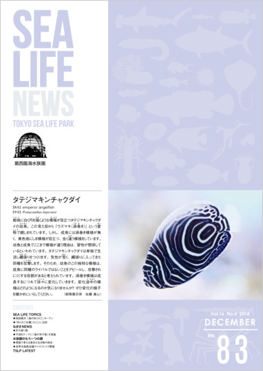 通巻83表紙