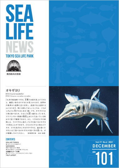 通巻101表紙