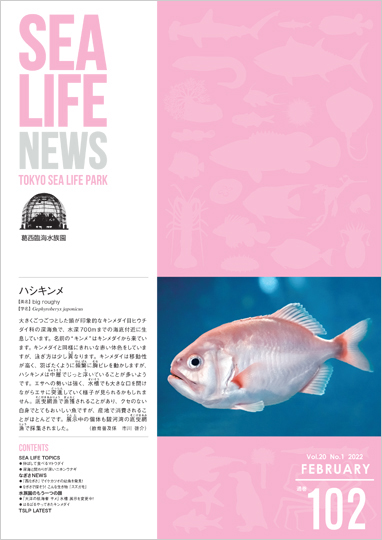 通巻102表紙