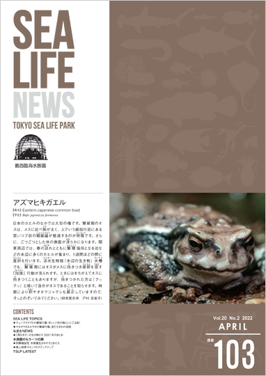 通巻103表紙