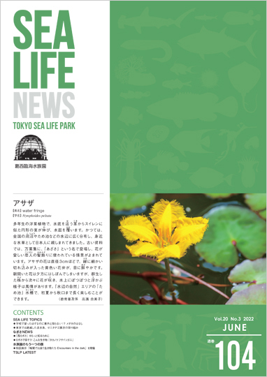 通巻104表紙