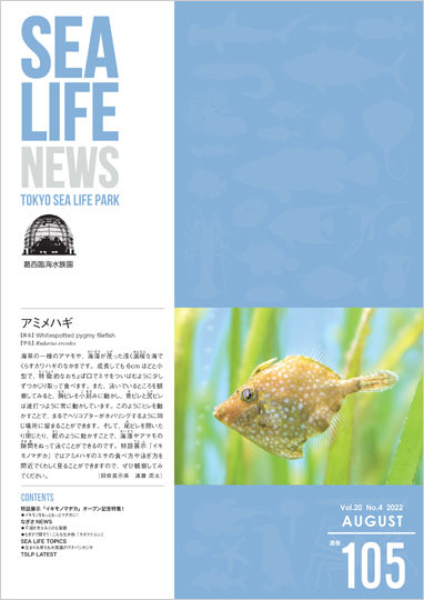 通巻105表紙