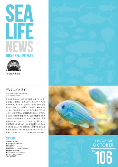 通巻106表紙