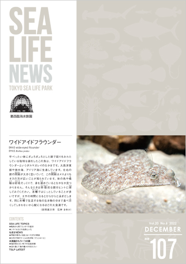 通巻107表紙