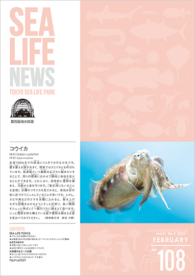 通巻108表紙