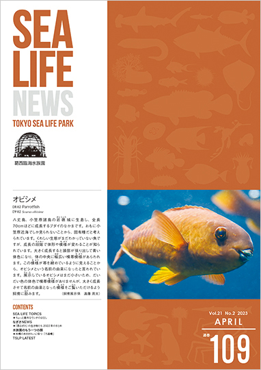 通巻109表紙