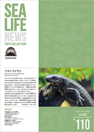 通巻110表紙