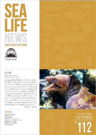 通巻112表紙