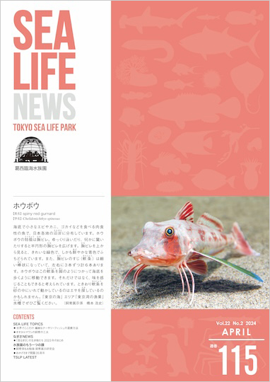 通巻115表紙