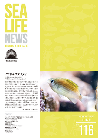 通巻116表紙